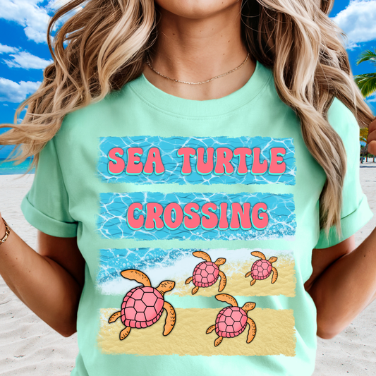 Sea Turtle Crossing
